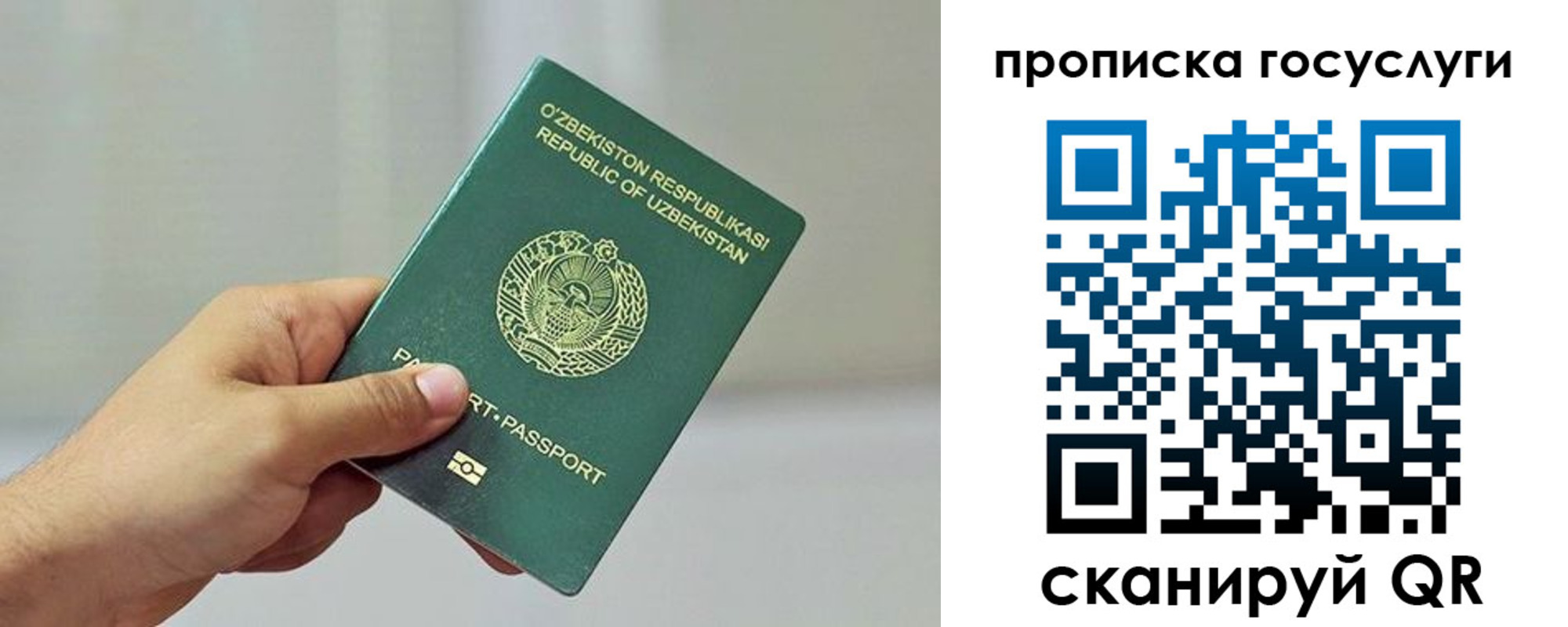 временная регистрация адрес в Апатитах